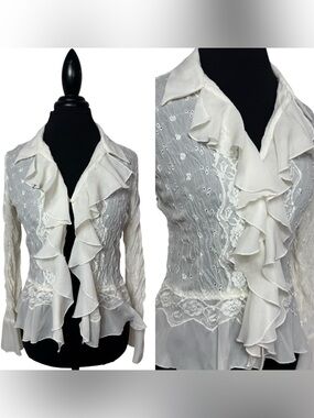 Vtg Allison Taylor Ivory Embroidered Chiffon Top